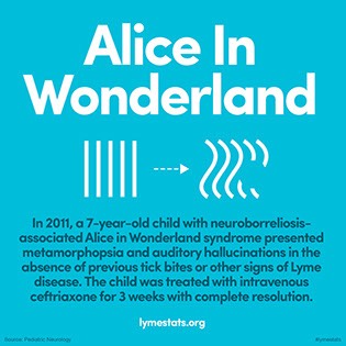 81_alice316x316
