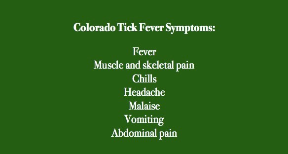 co tick fever